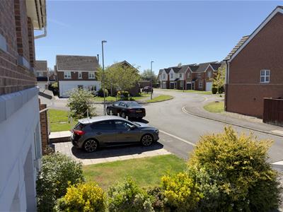Picture 30